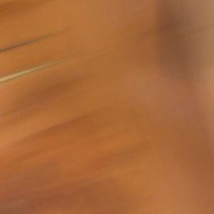 Meet your Posher, Omid